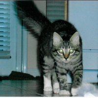 When  Where Do You Invest Your Time?