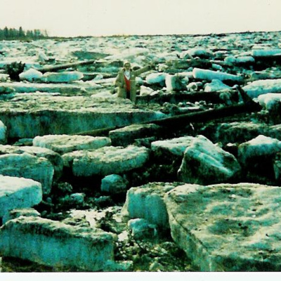 Carla Mcneils Teleseminars