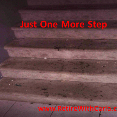 Carla Mcneils Teleseminars