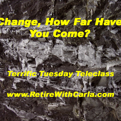 Carla Mcneils Teleseminars