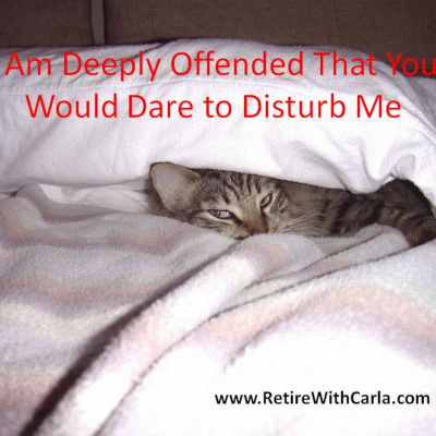 Carla Mcneils Teleseminars