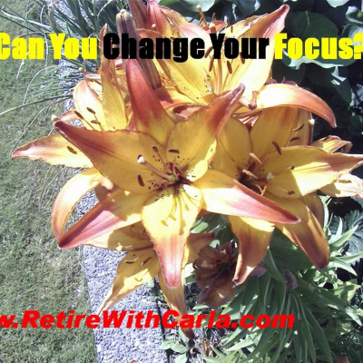 Carla Mcneils Teleseminars