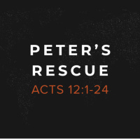 Peters Rescue