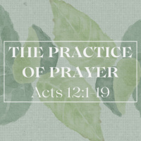 The Practice of Prayer