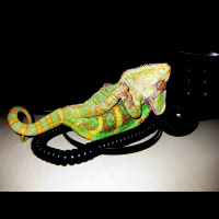 „Ich fühle mich nirgends zugehörig“, sagte der Jurist im Lebensthemen-Coaching.