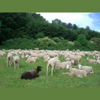 Warum hochbegabte Frauen oft tiefstapeln. Ein neuer Fall aus meiner Coaching-Praxis.