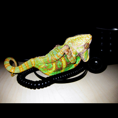 Das Abenteuer Persönlichkeit Mit Roland Kopp-wichmann