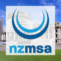 Politics Focus Podcast E2 - Julie Anne Genter