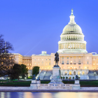 Has Government Intervention Gone Too Far?