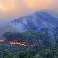 What Is The Latest On Emergency Funding For California After The Wildfires?