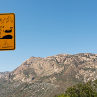 Hows That Wall On The Southern Border Coming?