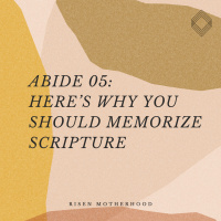 Abide 05: Here’s Why You Should Memorize Scripture