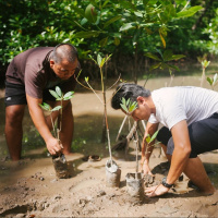 Reducing Disaster Risk: The Workforce of the Future