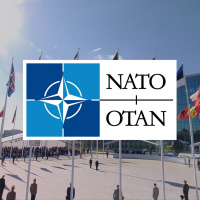 151. NATO (com José Manuel Fernandes)