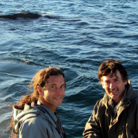 Mariano Sironi y Diego Taboada: Las personas tenemos personalidad y las ballenas tienen ballenidad