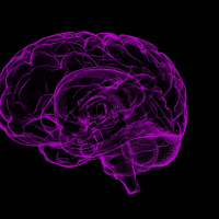 Pesquisa aponta que as mulheres têm mais alterações cerebrais com a menopausa