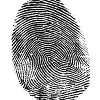 Avivamento e Identidade