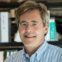 Harnessing Stem Cells to Test Drug Safety