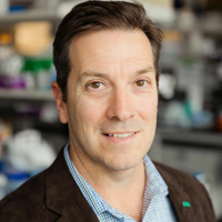 Targeting Cancer Drug Side Effects at Their Source