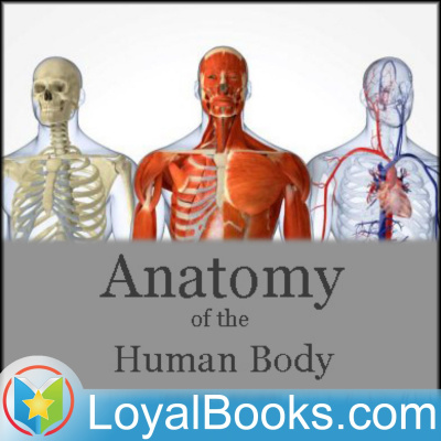 Anatomy Of The Human Body By Henry Gray