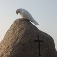#17 Un joven sobre quién está el Espíritu
