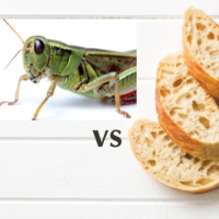 #14 El Saltamontes vs El Pan Comido