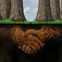 #13 Un espacio para Caleb