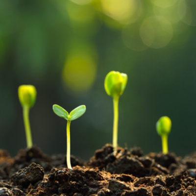 Josué (el Joven Y Sus Conquistas)