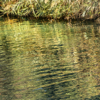Josué (el Joven Y Sus Conquistas)