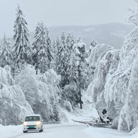 Aflevering 24 - Wonen In Noorwegen