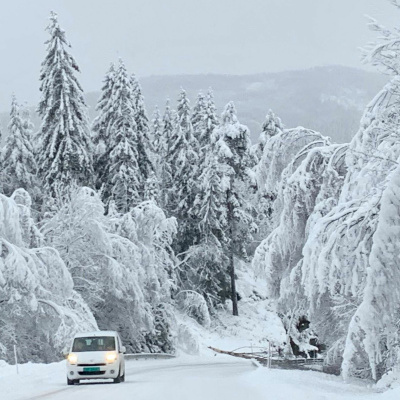 Wonen In ... Noorwegen !