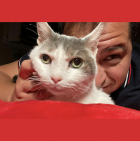 Five Questions with Josh Mohr | Season 5, Episode 4