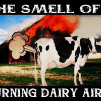 Show sample for 2/2/24: THE SMELL OF BURNING DAIRY AIR