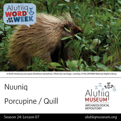 Alutiiq Word Of The Week