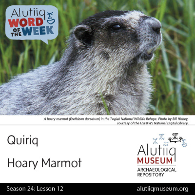 Alutiiq Word Of The Week