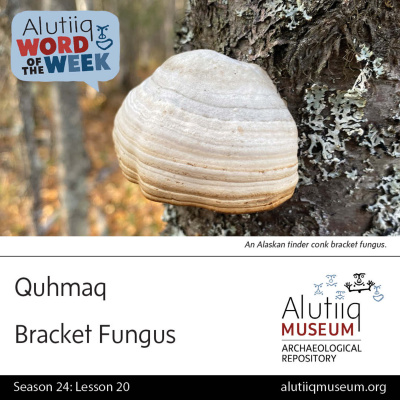 Alutiiq Word Of The Week