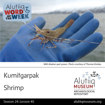 Alutiiq Word Of The Week