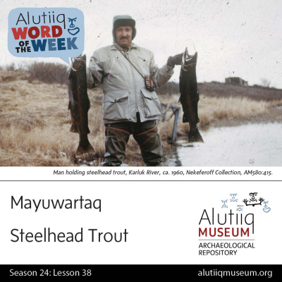 Alutiiq Word Of The Week