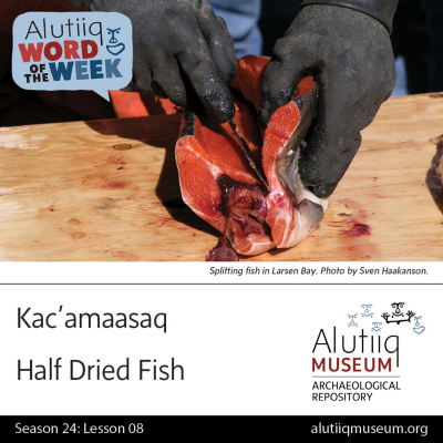 Alutiiq Word Of The Week