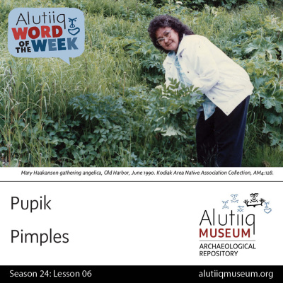 Alutiiq Word Of The Week