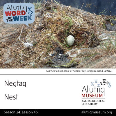 Alutiiq Word Of The Week