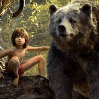 Ningú no és perfecte 15x31 - 11 a 17 dabril