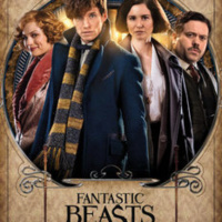 Ningú no és perfecte 16x11 - Bèstie s fantàstiques i on trobar-les (21 a 27 nov)