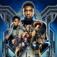 Ningú no és perfecte 17x24 - Black Panther