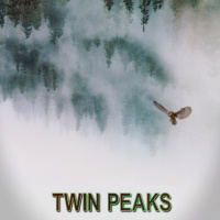 Ningú no és perfecte 17x20 - Twin Peaks 3, Javier J. Valencia i Oscars