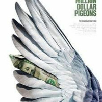 Gavin Fitzgerald, Director of Million Dollar Pigeons