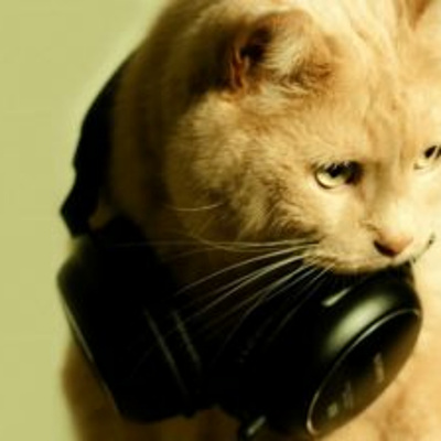 Film Ireland Podcast