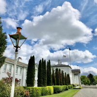 President hosts a screening of “The Great Green Wall” documentary film