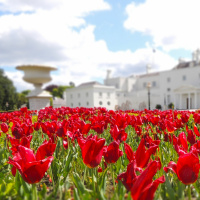 Address at the Official Opening of the Biodiversity Festival and Honey Show