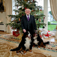 Teachaireacht na Nollag agus na hAthbhliana ó Uachtarán na hÉireann Micheál D. Ó hUigínn 2019